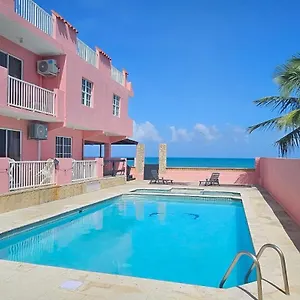 Selva Boutique - Oceanfront Retreat - Adults Only Hotel Luquillo
